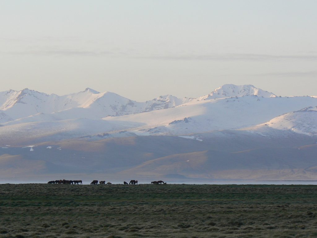 P1020940 Travel in kyrgyzstan