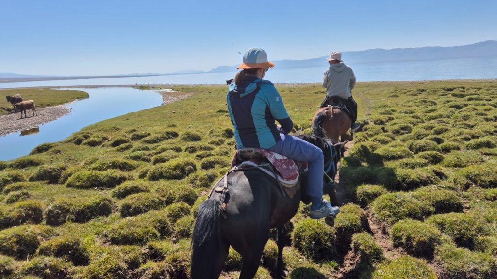 Изображение WhatsApp 2025-10-03 в 23.31.59_2fff2878